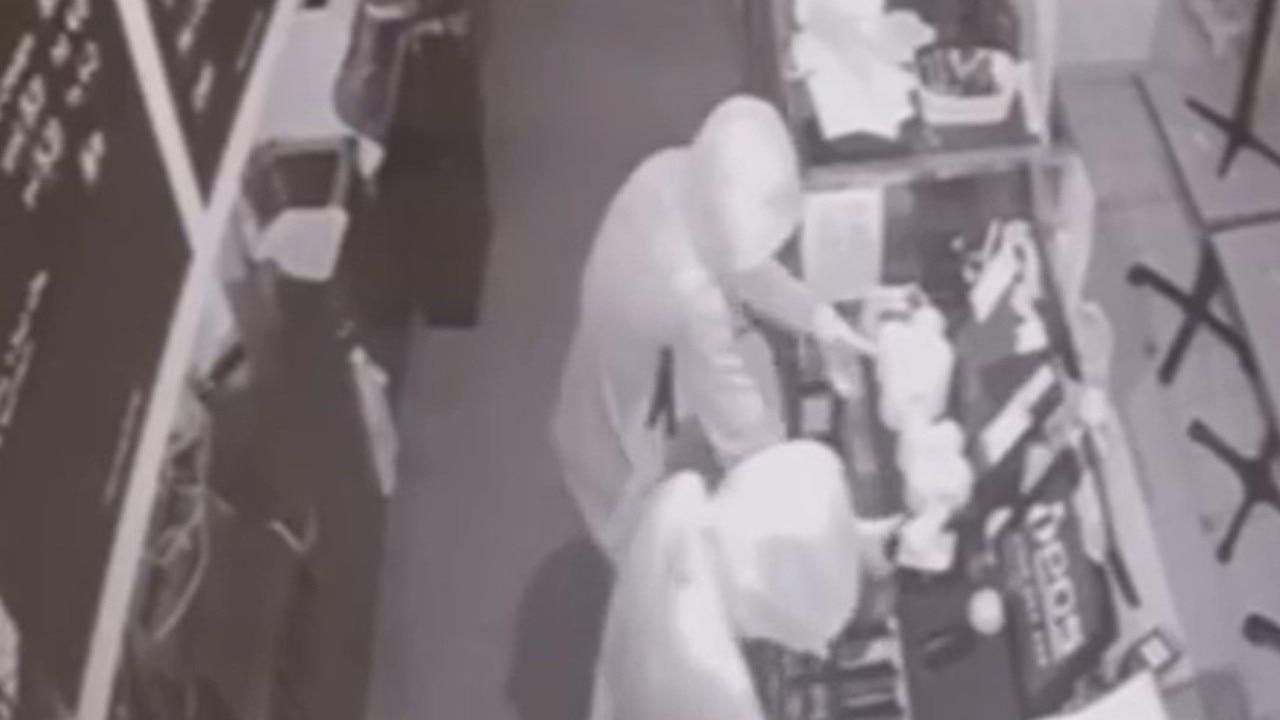 Western Sydney businesses allegedly ravaged by mother and son crime duo