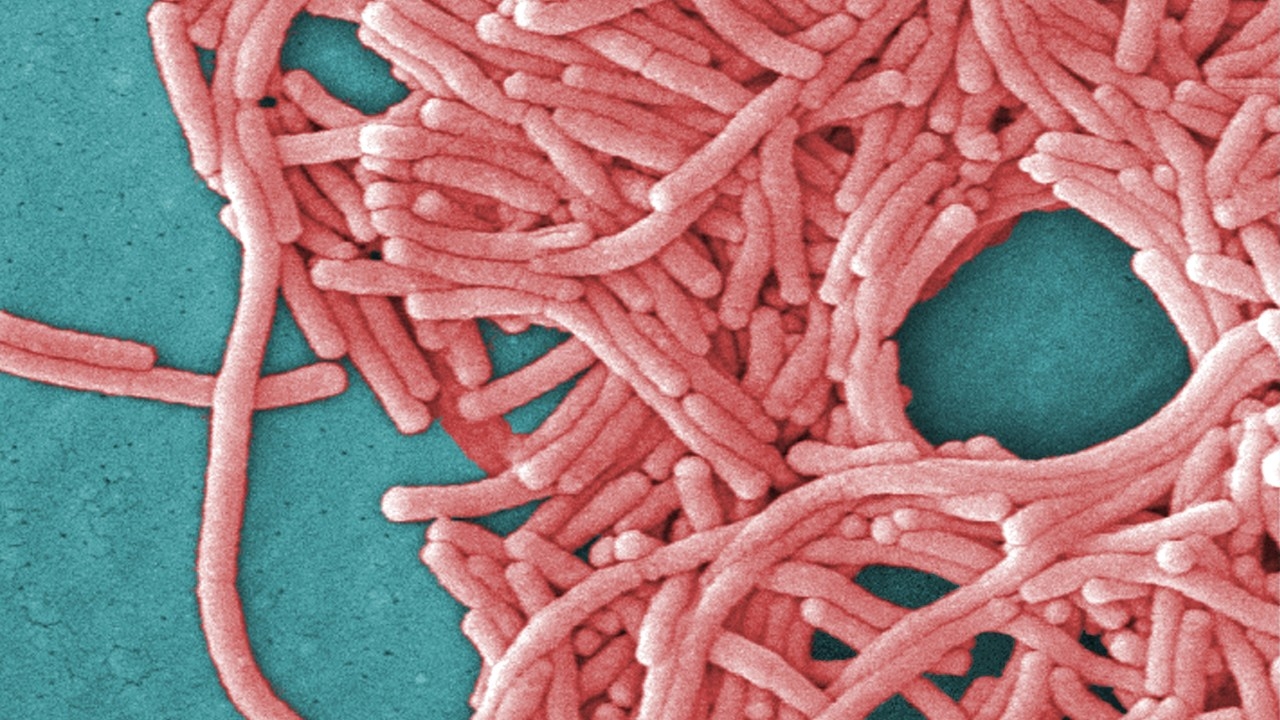 Severe disease alert issued for NSW after Legionnaires' outbreak detected among people in inner-Sydney suburb