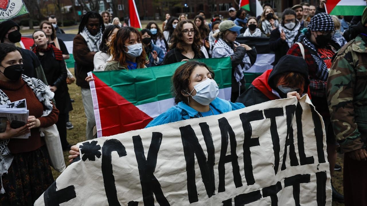 ‘Toxic cocktail of narcissism': Douglas Murray blasts ‘privileged' Harvard protesters