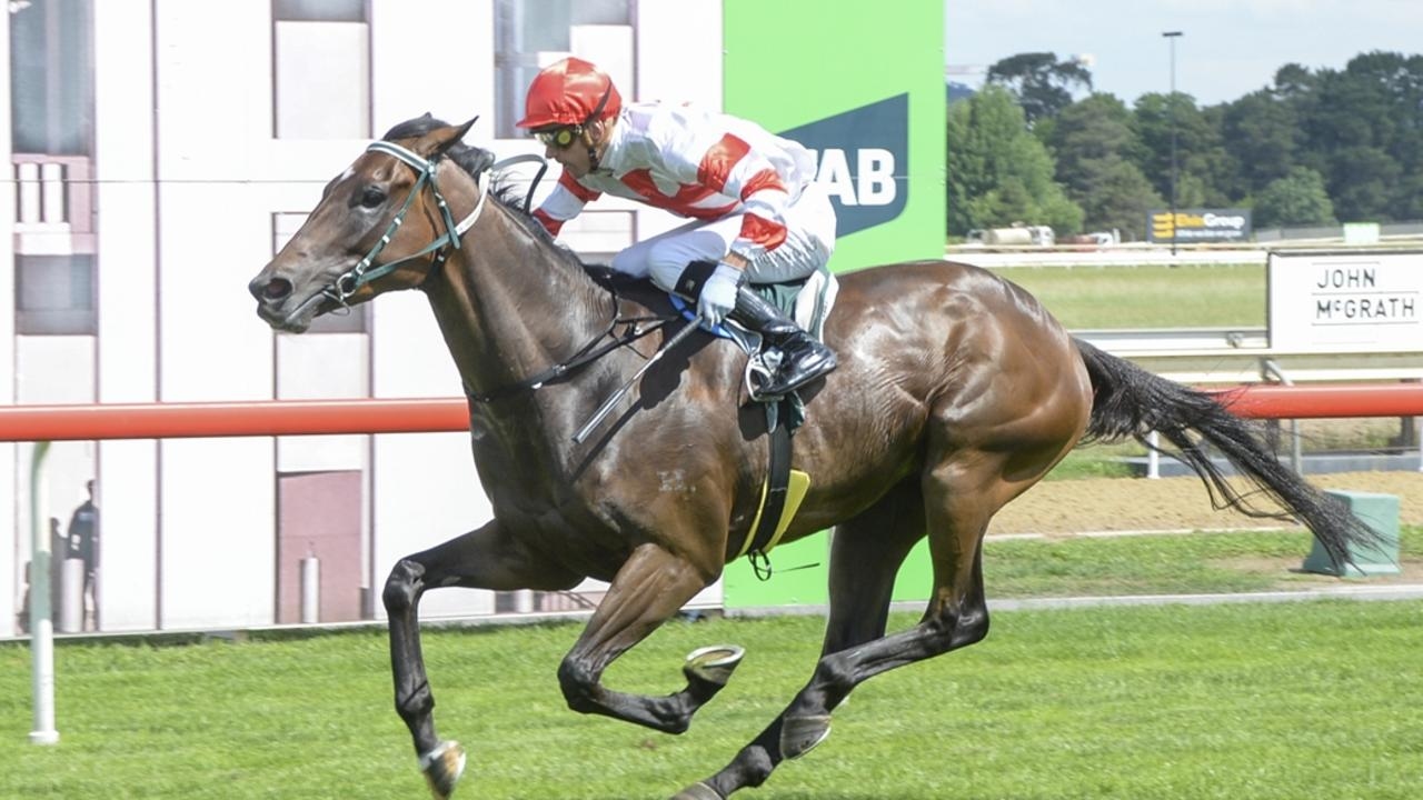 Wyong preview: Trainer Matthew Smith has the firepower and is quietly confident of success
