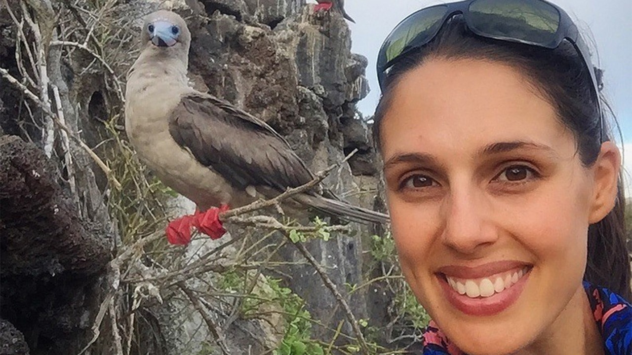 Wildlife scientist Vanessa Pirotta names the world's best destinations