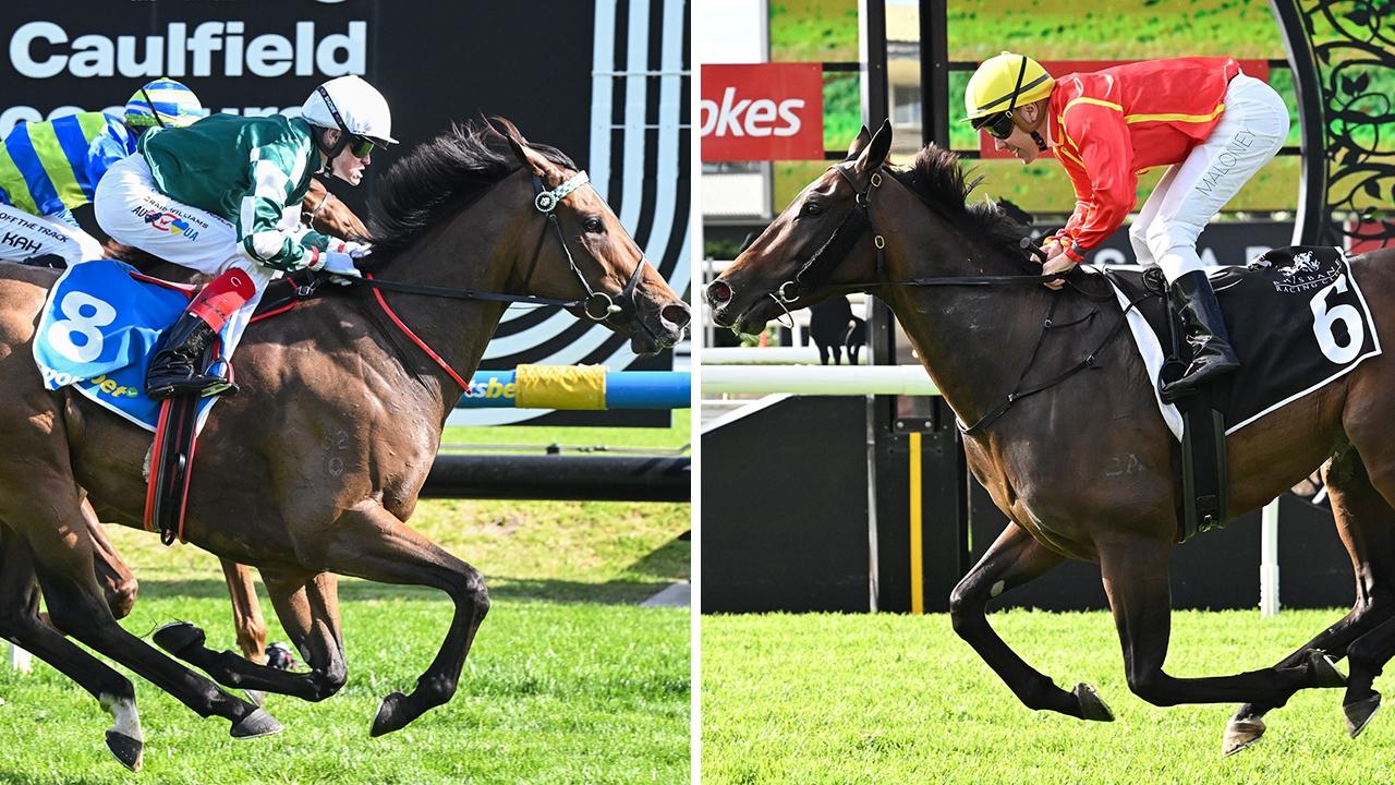 Tony Gollan's great hope Transatlantic gets run in Group 1 Stradbroke with Kimochi rule out