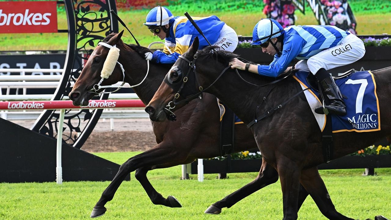 Fairytale Queensland mare Adiella recovering from ‘toxic' staph infection