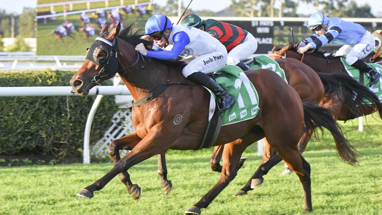 Lavish Empire shooting for back-to-back 1500m wins with his new-found stamina reserves when he heads to Randwick