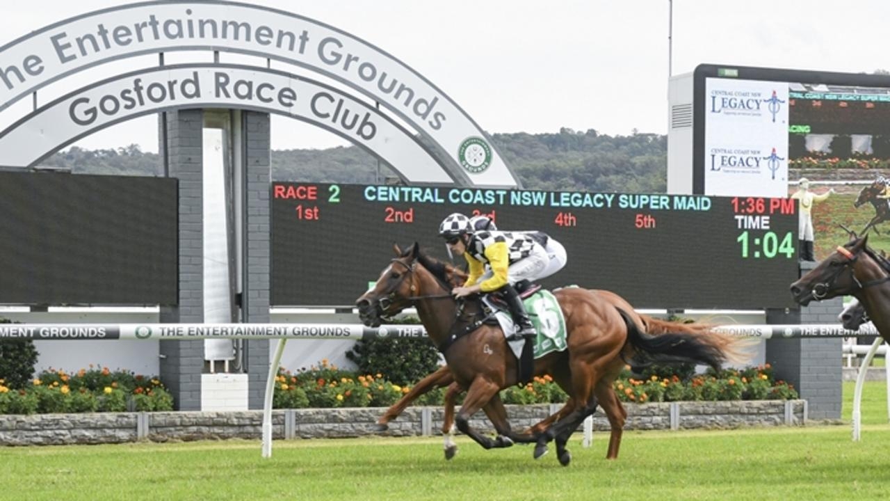 Gosford Race Club to host first meeting since safety issues saw consecutive programs abandoned