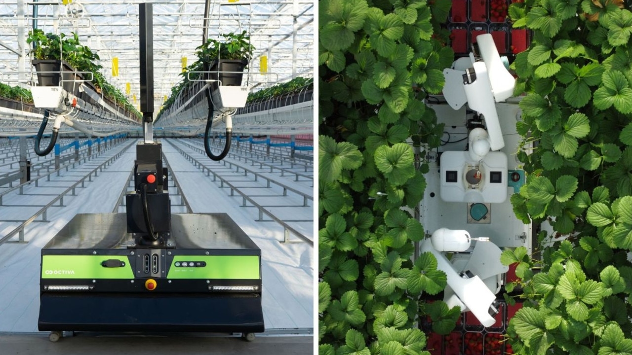 Inside Dyson's UK farm where its ‘top secret' new venture is finally revealed