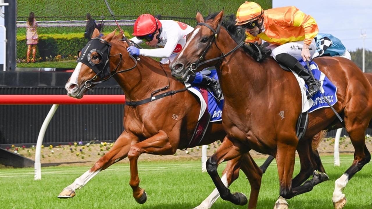 Goulburn preview: Dynamic Syndications' Adam Watt is justifiably upbeat about the chances of their four runners