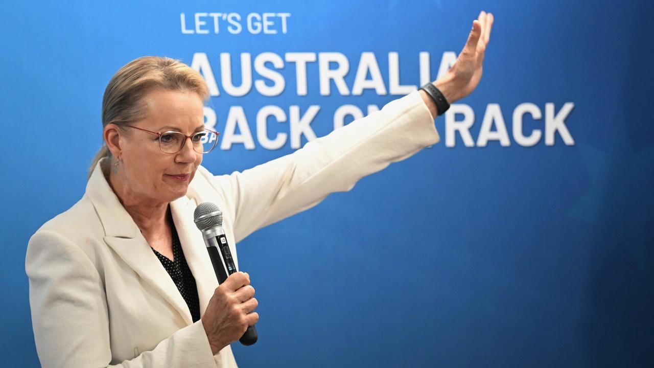 Liberal Party needs a ‘warrior' to ‘tear down' Albanese government