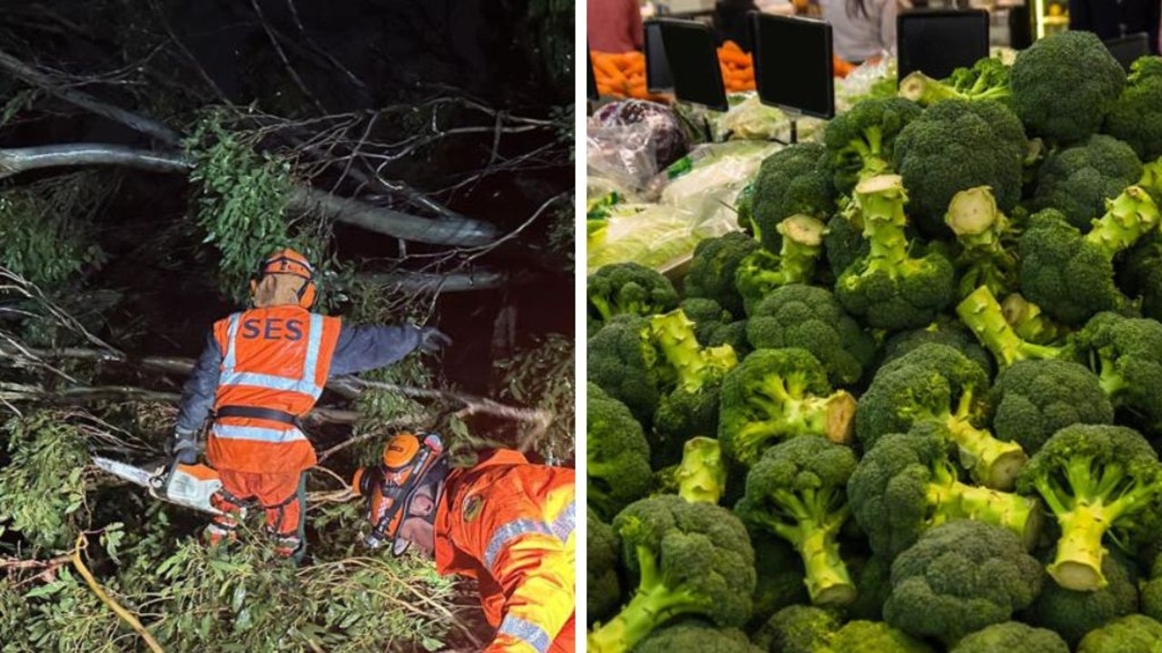 Australia's bad weather prompts shortage of broccoli