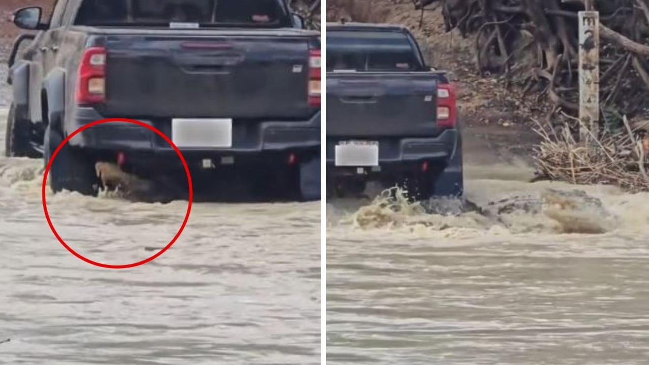 Horrifying moment car runs over crocodile at infamous crossing