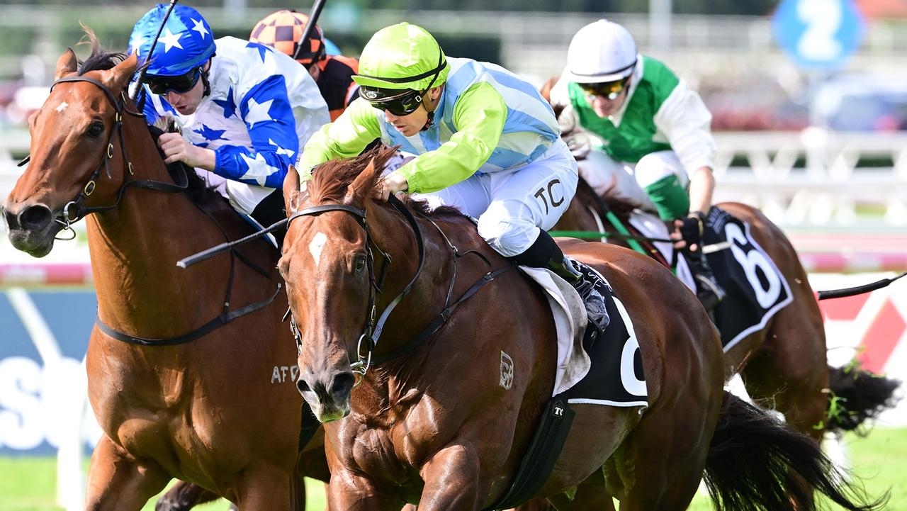 Matt Dale will weigh up Stradbroke Handicap tilt with Front Page after Moreton Cup win