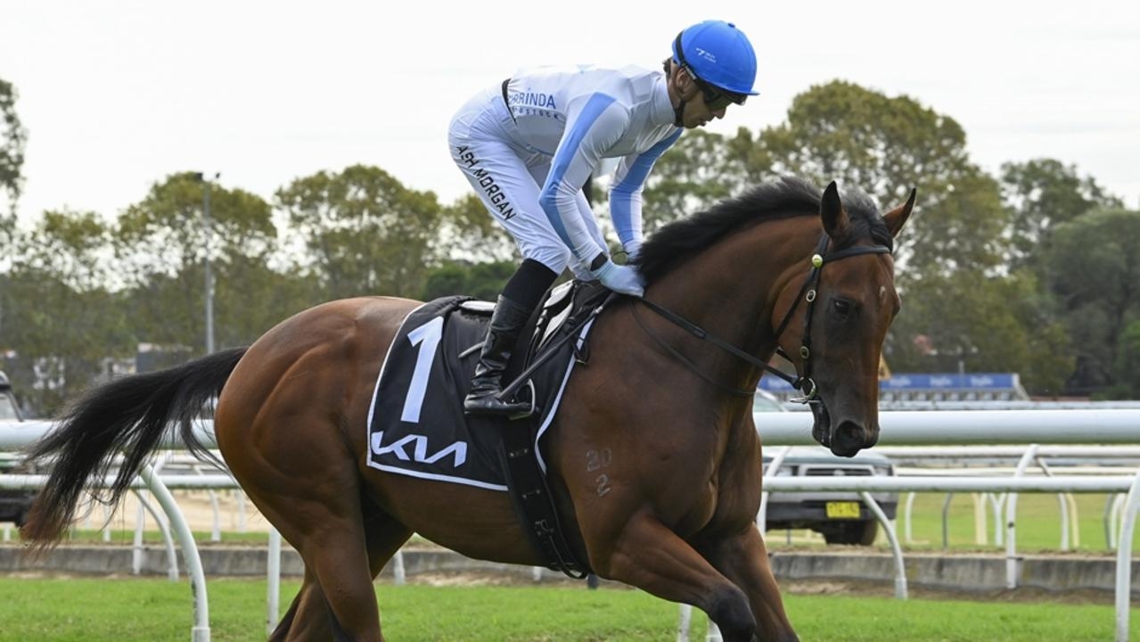 Ray Thomas and Ron Dufficy's race-by-race tips, analysis for Royal Randwick on Saturday plus Group 1 racing at Eagle Farm