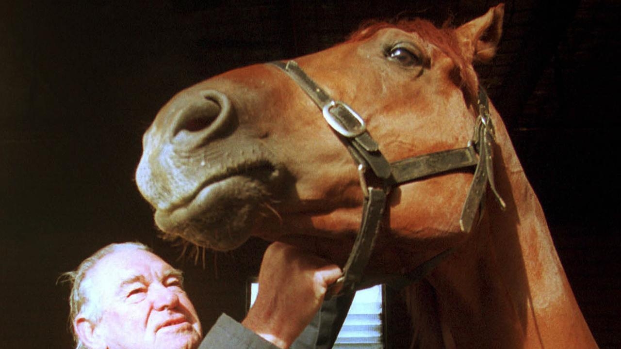Newcastle preview: Divine trial has family dynasty looking sweet