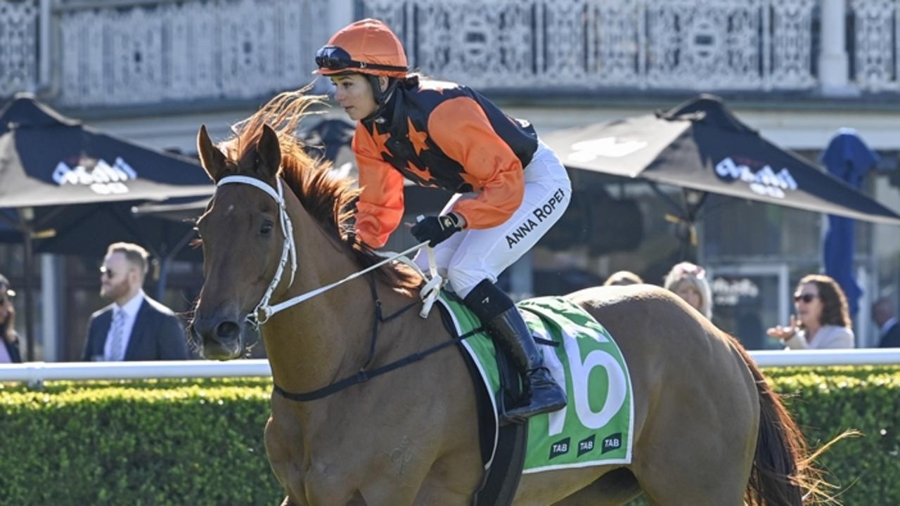 Port Macquarie preview: Trainer Robert Agnew positive on progress Show ‘Em Howl is making