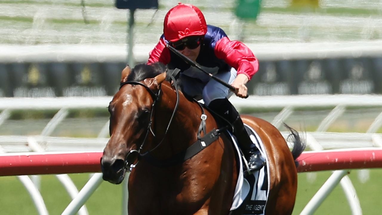 Thompson aiming to cap off outstanding season with bang at Randwick on Saturday