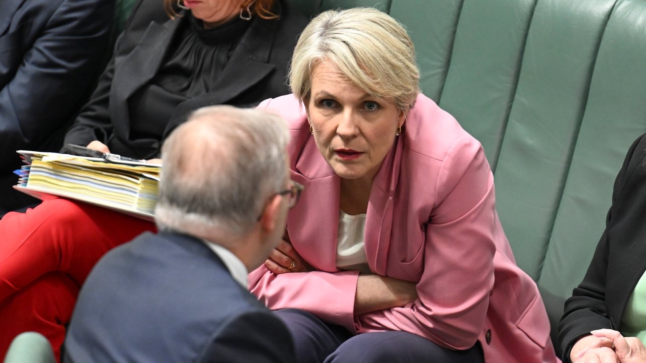 Tanya Plibersek's 'obvious demotion' exposes rivalry with PM Anthony Albanese after environment portfolio snubbing