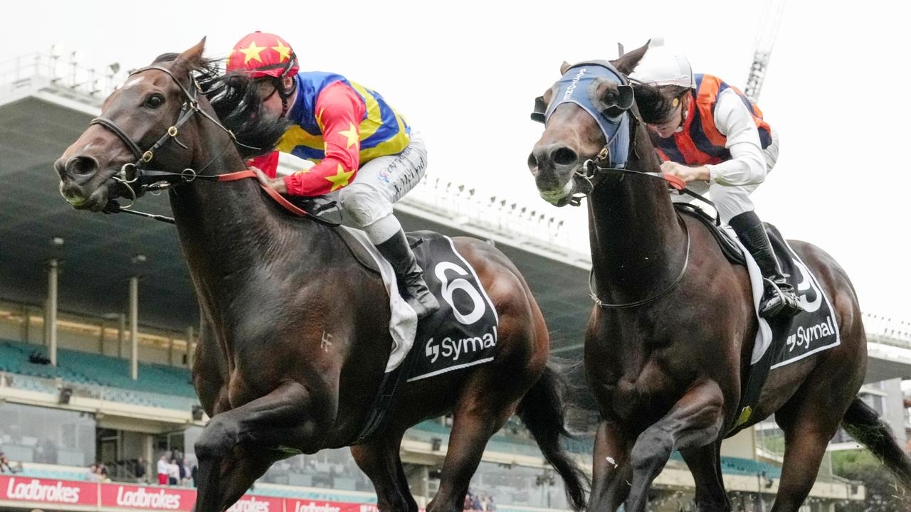 Brad Waters' horses to follow and forgive from The Valley