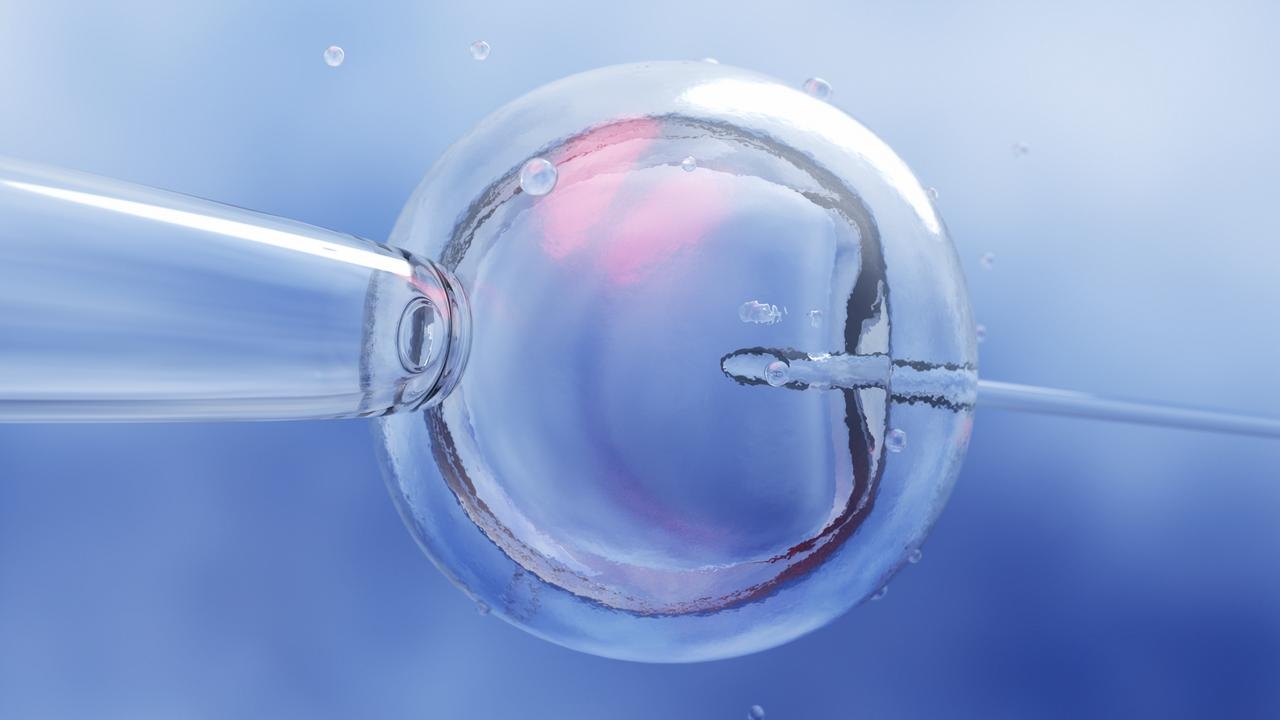 Australian IVF mix up ‘probably not the first time'