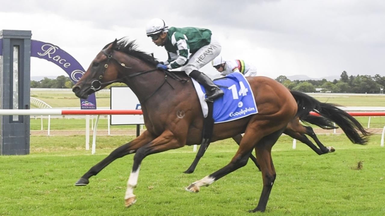 Trainer Denim Wynen saddles up Sunshine Law at Rosehill