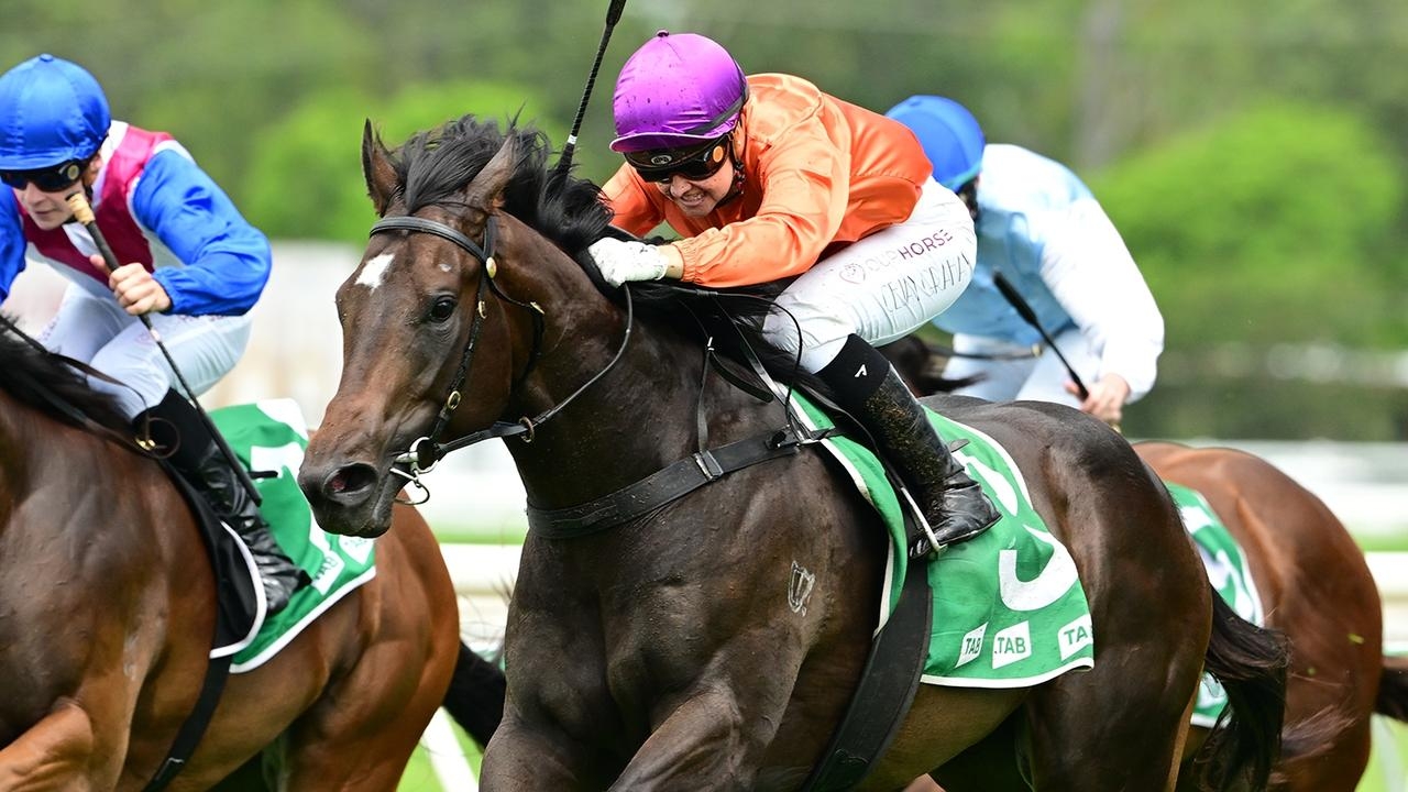 2025 BRC Sires' Produce Stakes: Trainer Kelly Schweida wary of tough last run for Grafterburners