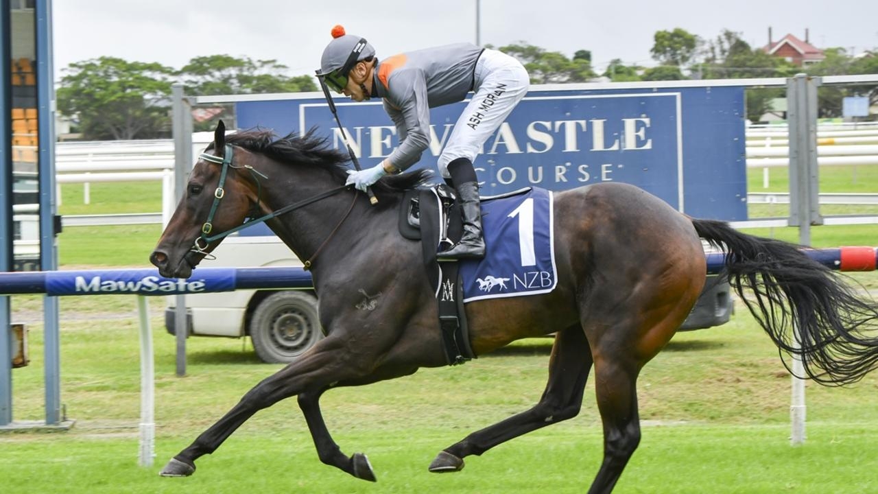Gosford preview: Local trainer Adam Duggan is banking on Divine Bene's love of wet tracks to land another win