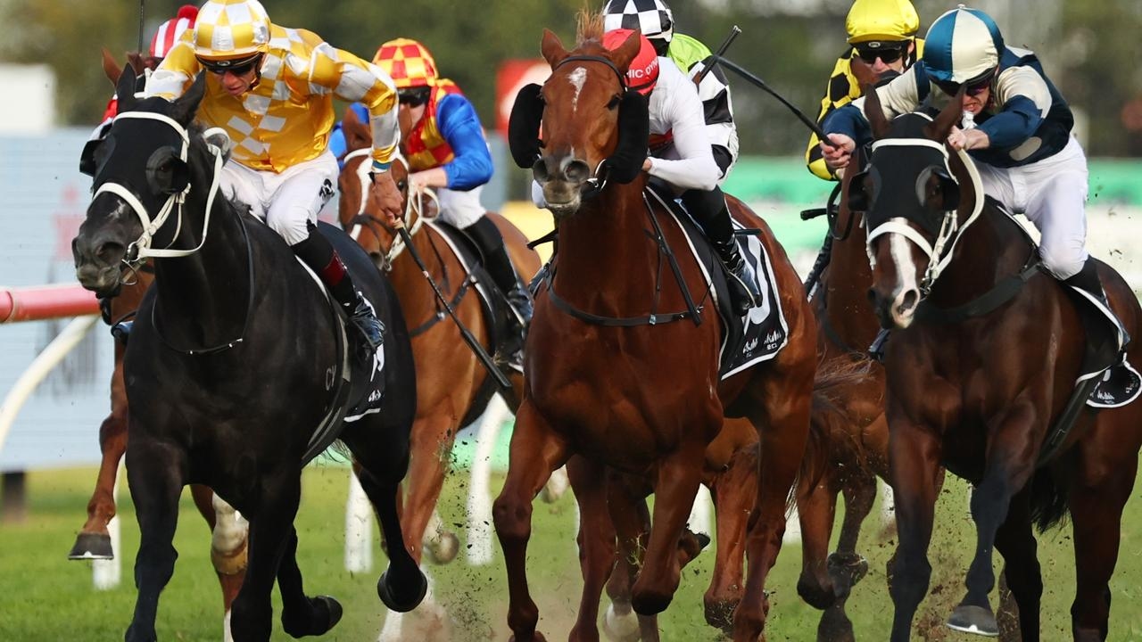 Mitch Cohen's Blackbook: Five to follow from McKell Cup day