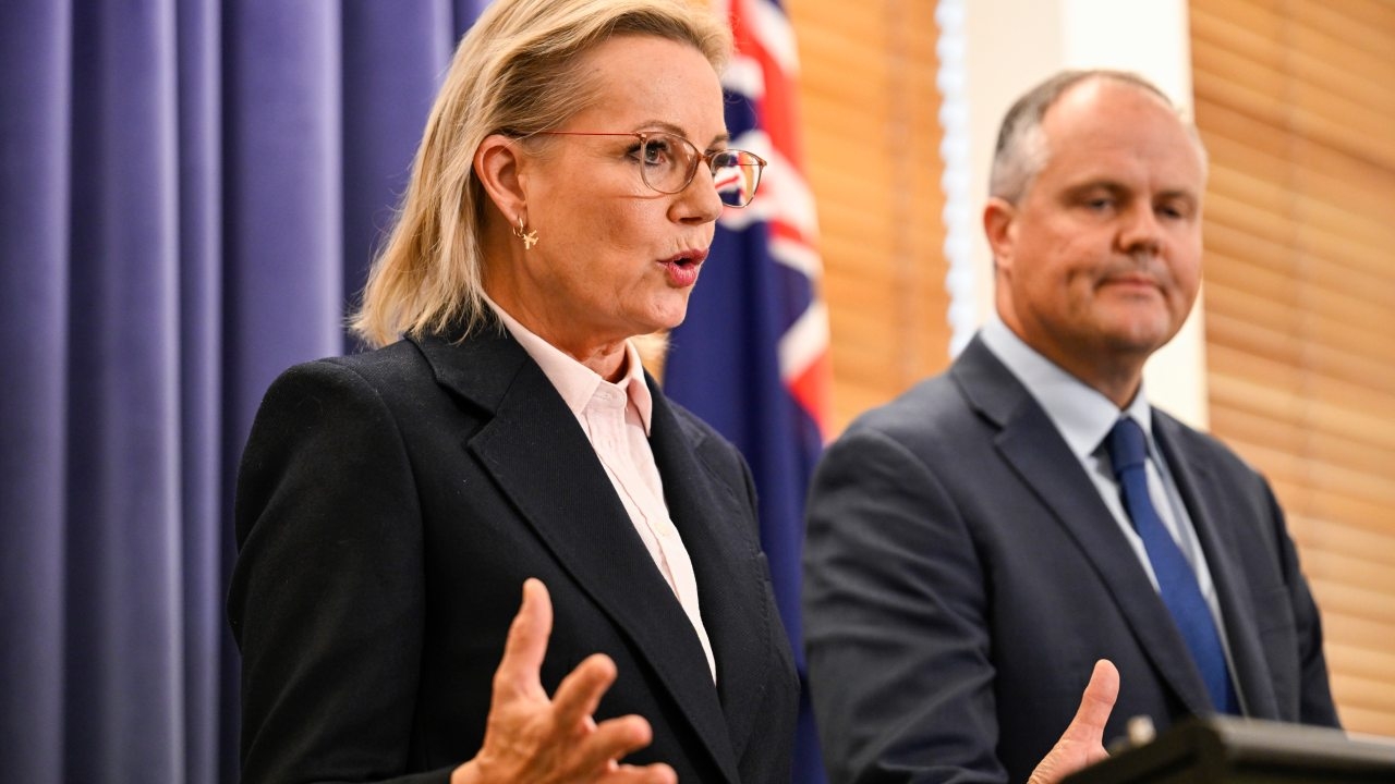 Sussan Ley says nation should ‘unite under the one Australian flag'; dodges questions on nuclear energy in first address as Liberal leader