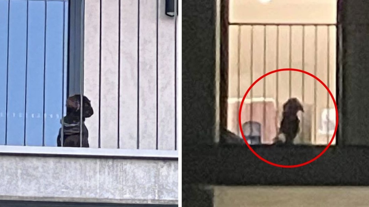 Waterfront community ‘heartbroken' over balcony sight