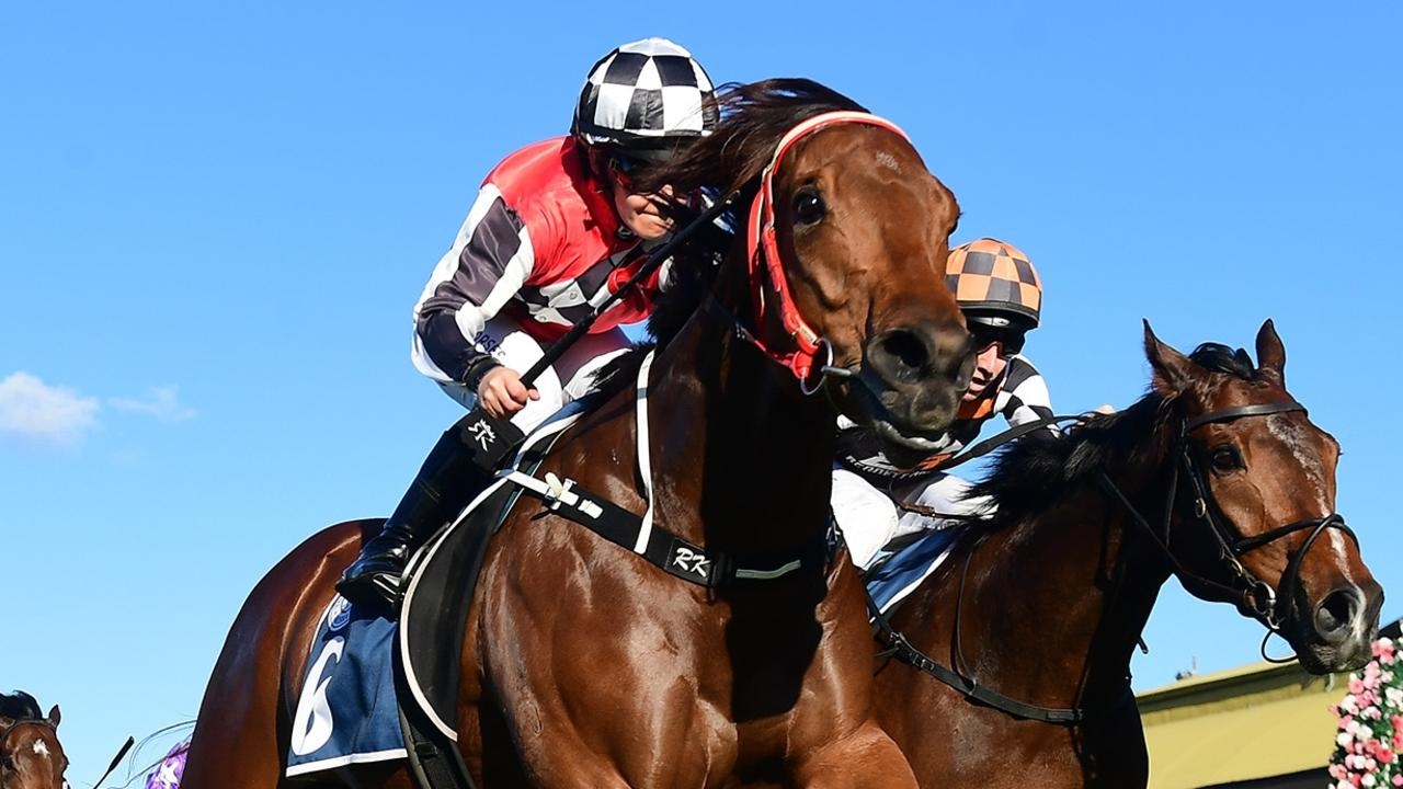 The Inflictor break delayed with wet weather convincing trainer Craig Cousins to tackle Glasshouse Handicap at Sunshine Coast