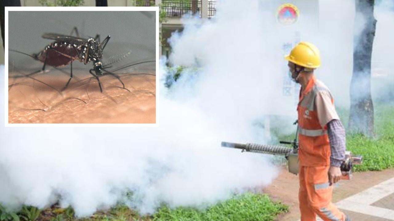 Thousands infected in China as mosquito-borne virus sparks pandemic fears