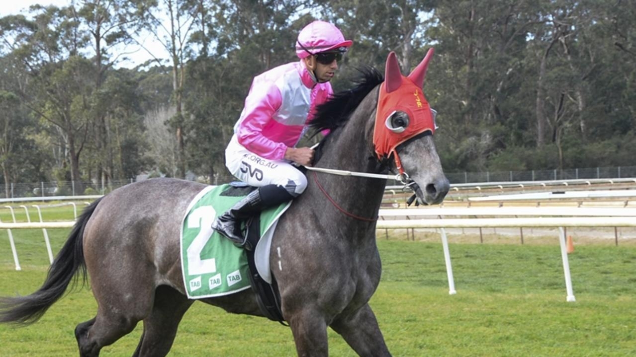 Sapphire Coast preview, best bets and inside mail for Sunday May 4, 2025