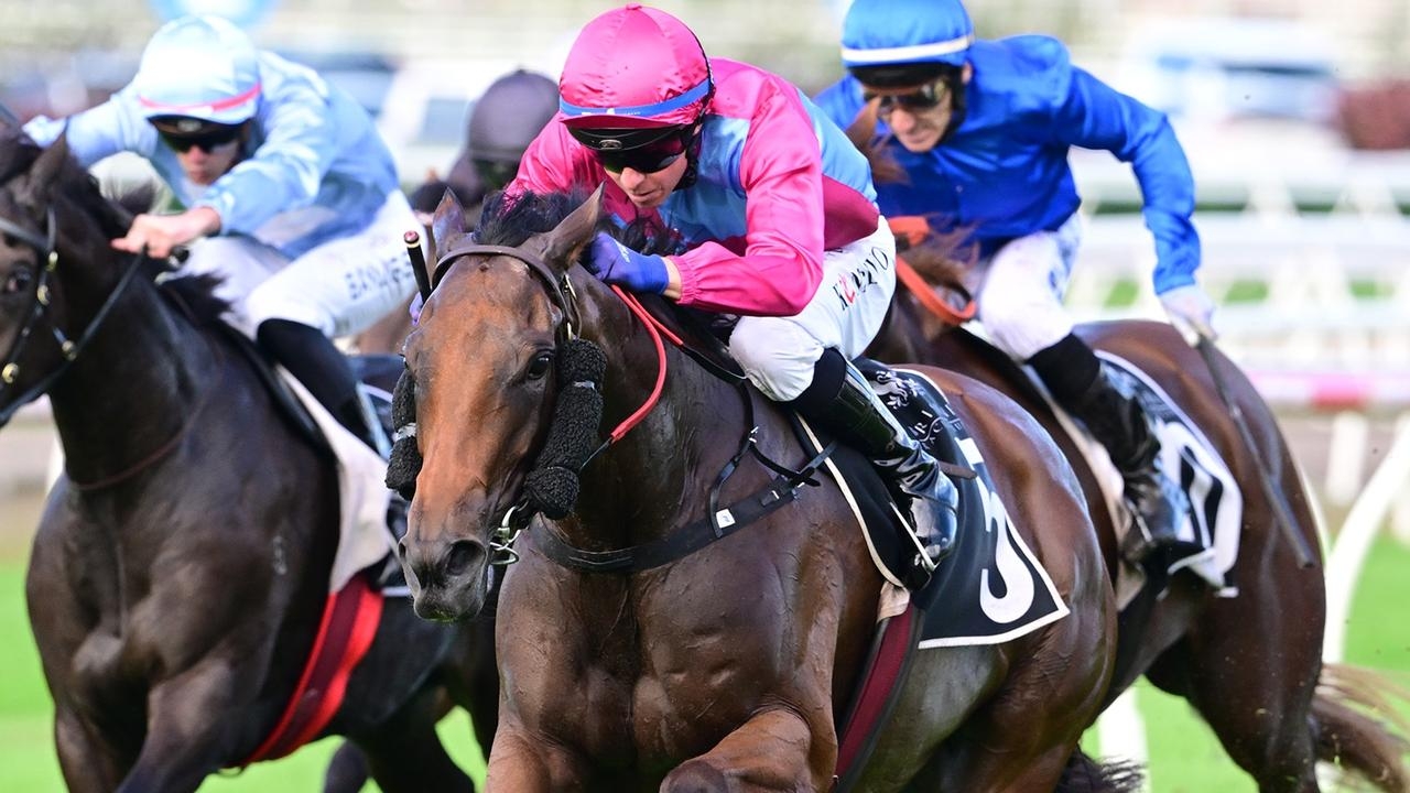 ‘Pretty special' filly justifies David Vandyke's Queensland Oaks ambitions in Princess Stakes