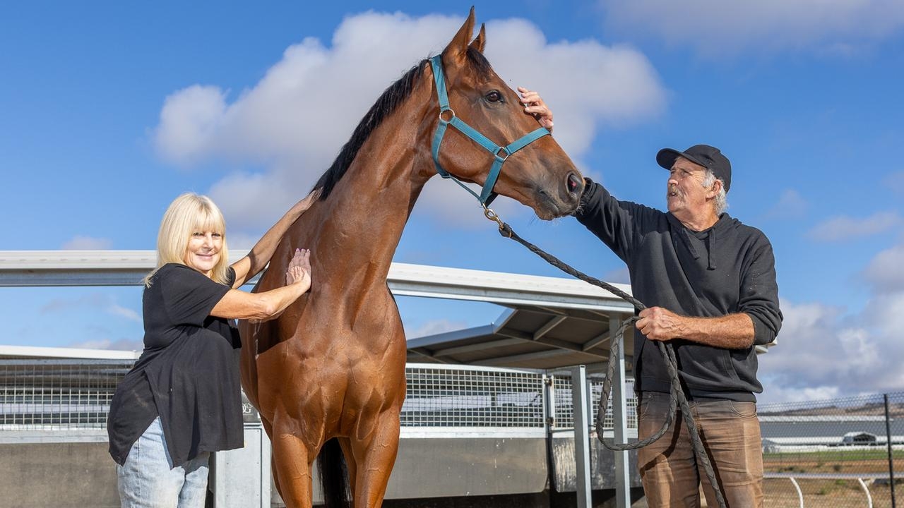 ‘I feel like scratching him': South Australian Derby setback for trainer Darryl Hewitt after jockey Connor Murtagh has ban upheld