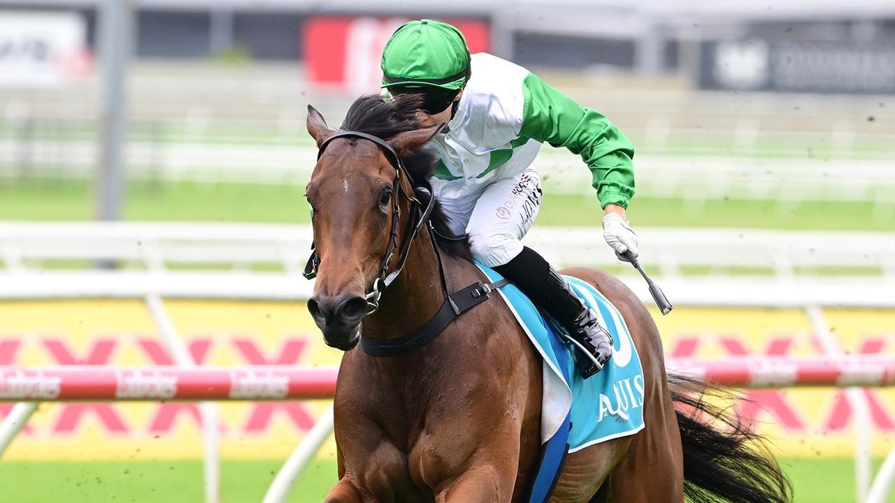 BRC Sires' Produce to decide if Hi Barbie heads towards Group 1 JJ Atkins