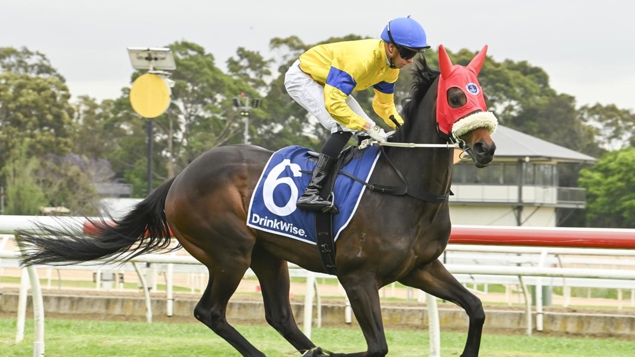 Wyong preview, best bets, inside mail for Sunday, June 8, 2025