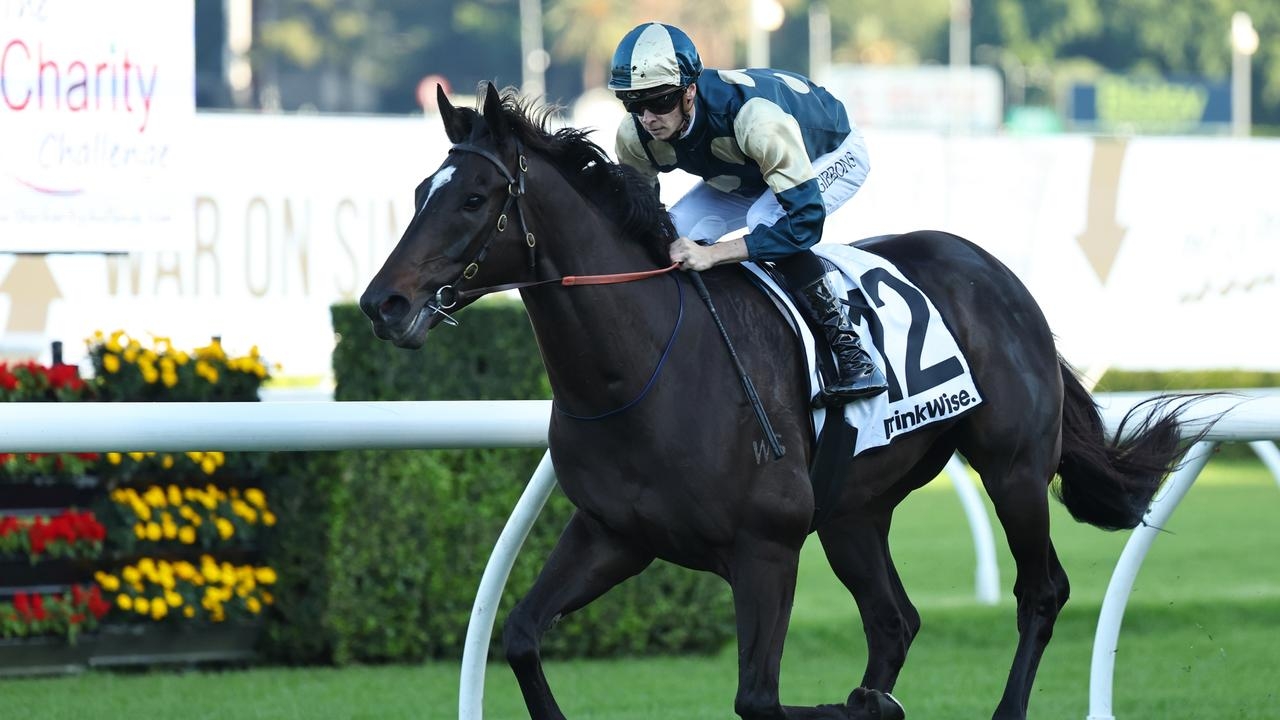 Dylan Gibbons gem lands top prize with Hollywood Hero at Randwick