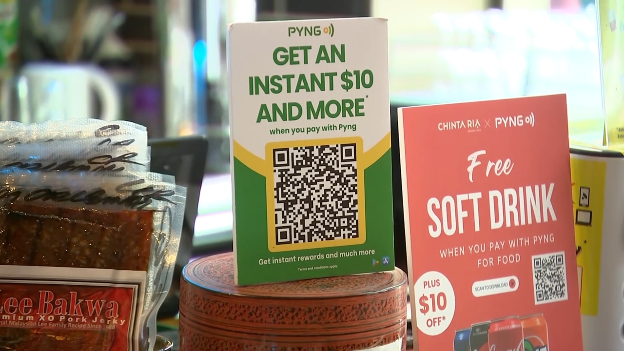 Sydney startup Pyng pushes fee-free QR payments as RBA moves to scrap surcharges - but experts warn of hidden risks