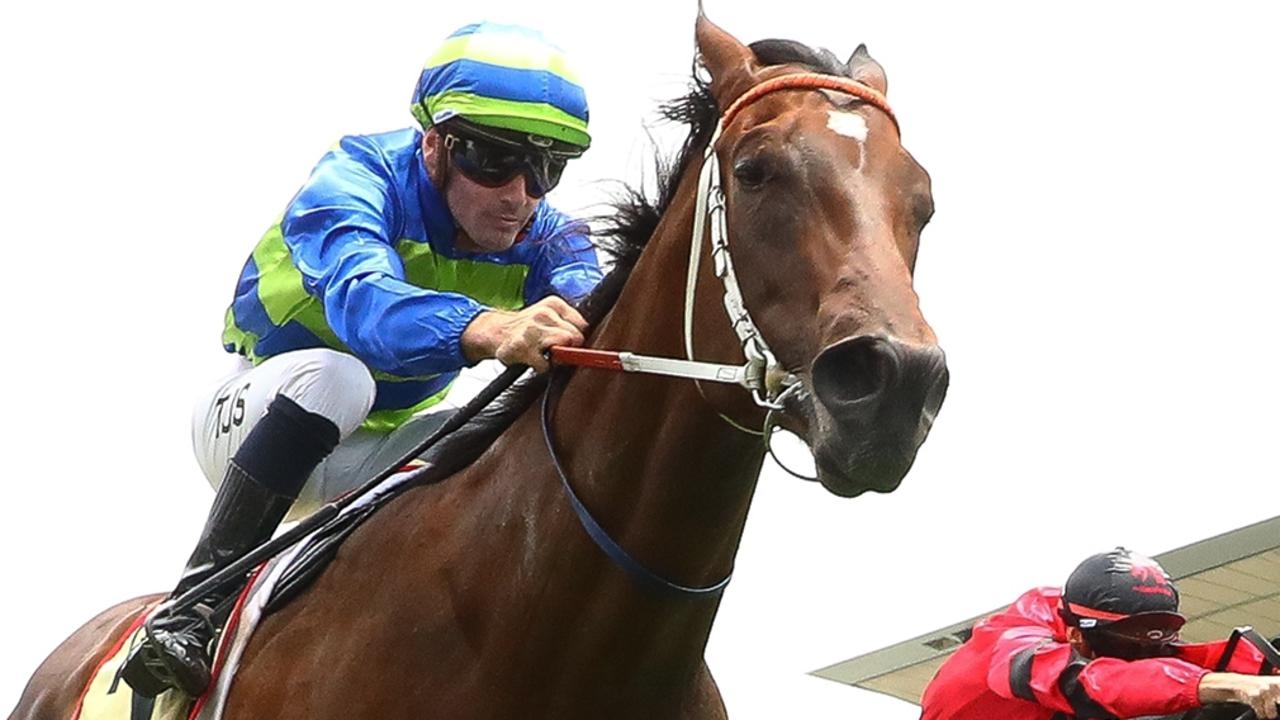 Michael Hawkes declares Gallo Nero ‘horse to beat' in BRC Sires' Produce Stakes