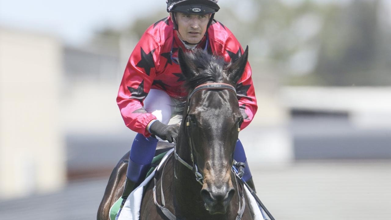 Narromine preview, best bets and inside mail for Sunday April 27, 2025
