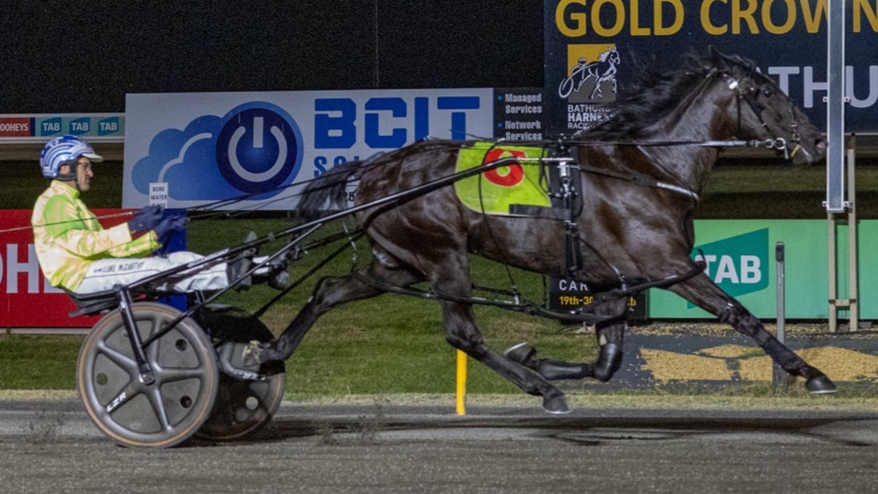 Harness racing: Emma Stewart and Clayton Tonkin stable will have its first runner in New Zealand