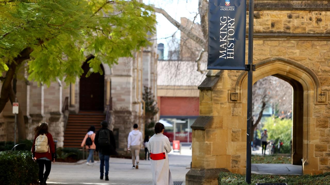 Labor's international student backflip a 'farce', as economist claims Albanese government 'selling migration and work rights'