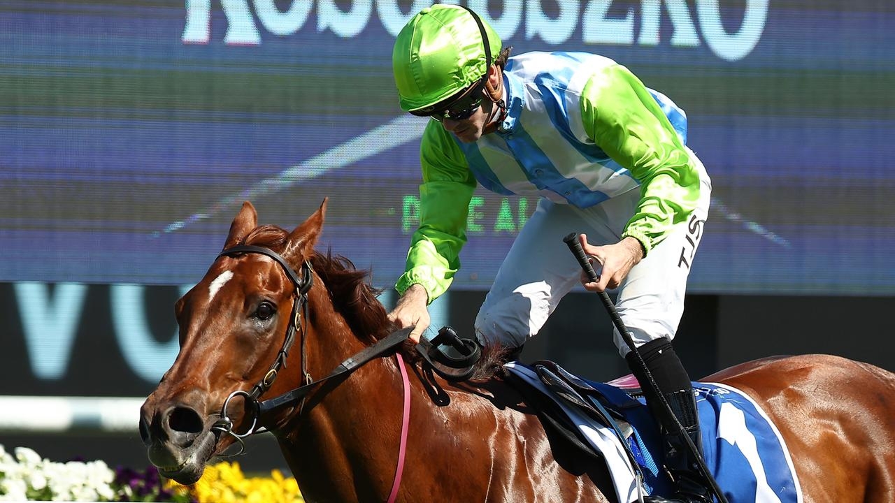 Veteran gelding Front Page is likely to be fighting to the finish in Saturday's Group 2 Moreton Cup at Eagle Farm