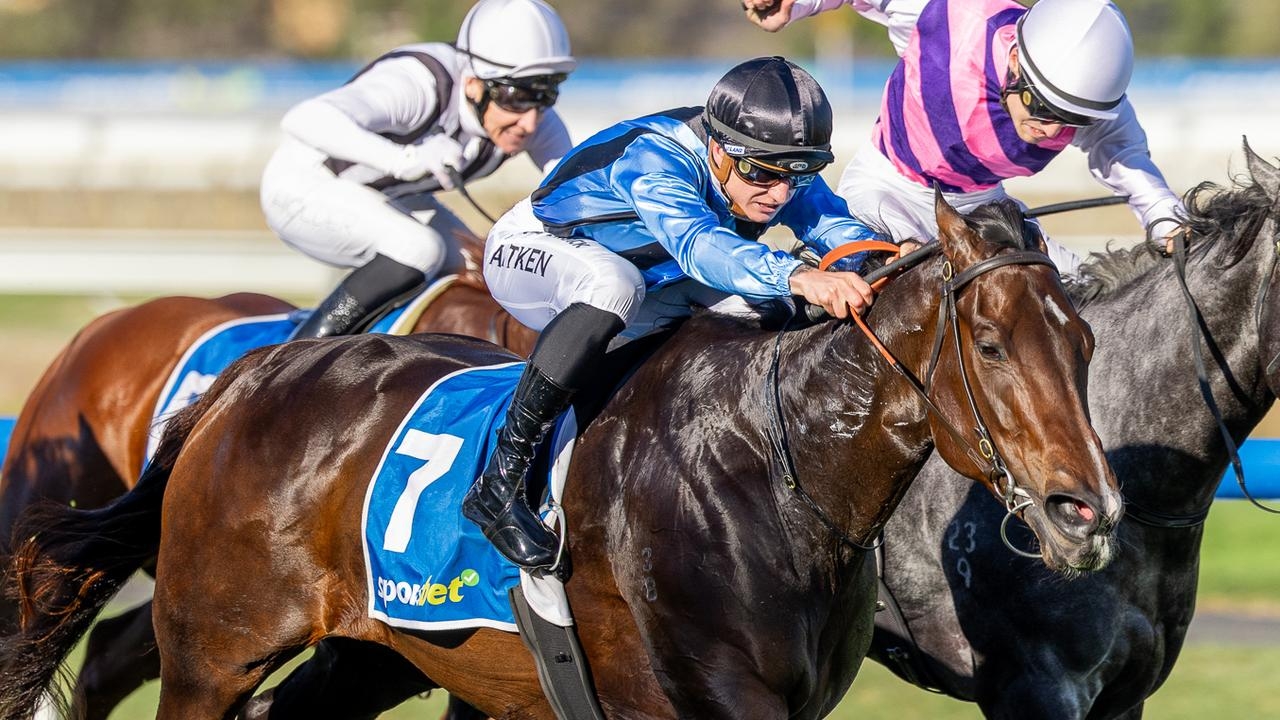 Trainer Henry Dwyer cautiously optimistic about Asfoora's King Charles III Stakes defence at Royal Ascot