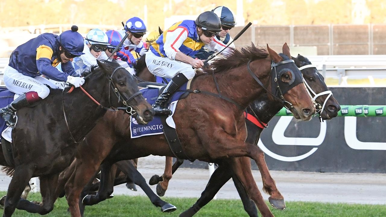 Jimmy The Bear worth the shout for passionate owner-breeder Mike Hirst