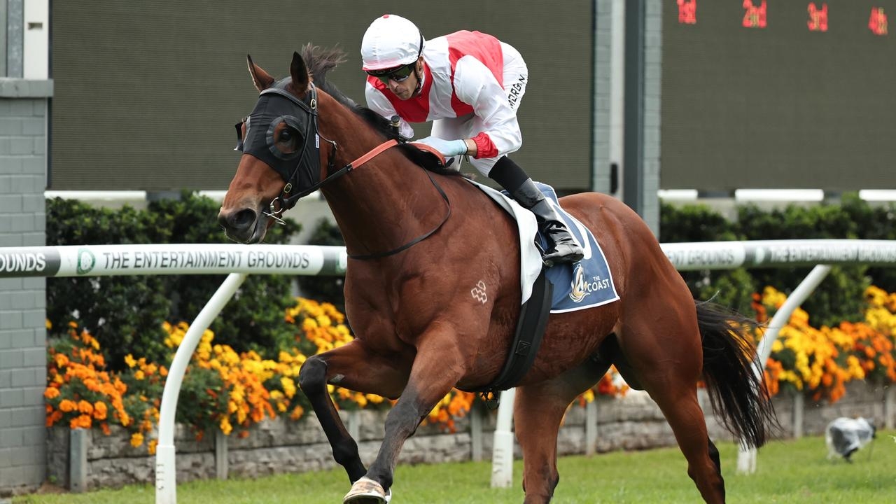 2025 Scone Cup favourite Know Thyself in danger of missing a start