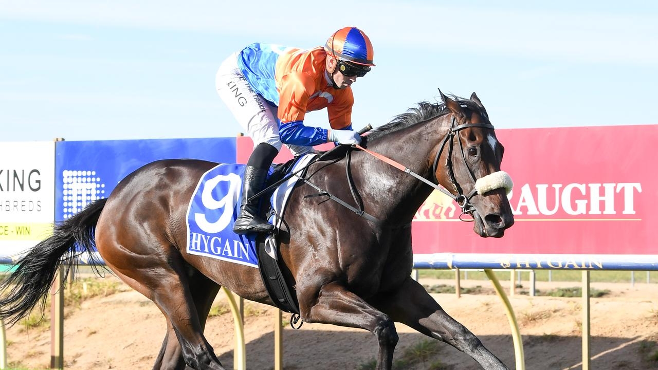 Grinzinger Moon makes city debut to continue winning streak that began in Towong maiden