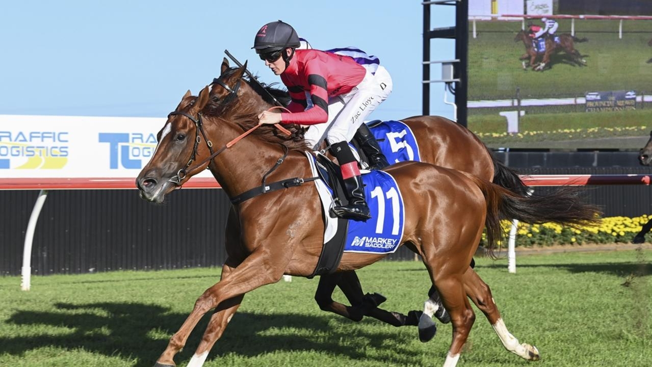 Warwick Farm preview: Key factors to help Bjorn Baker's mare Starmae