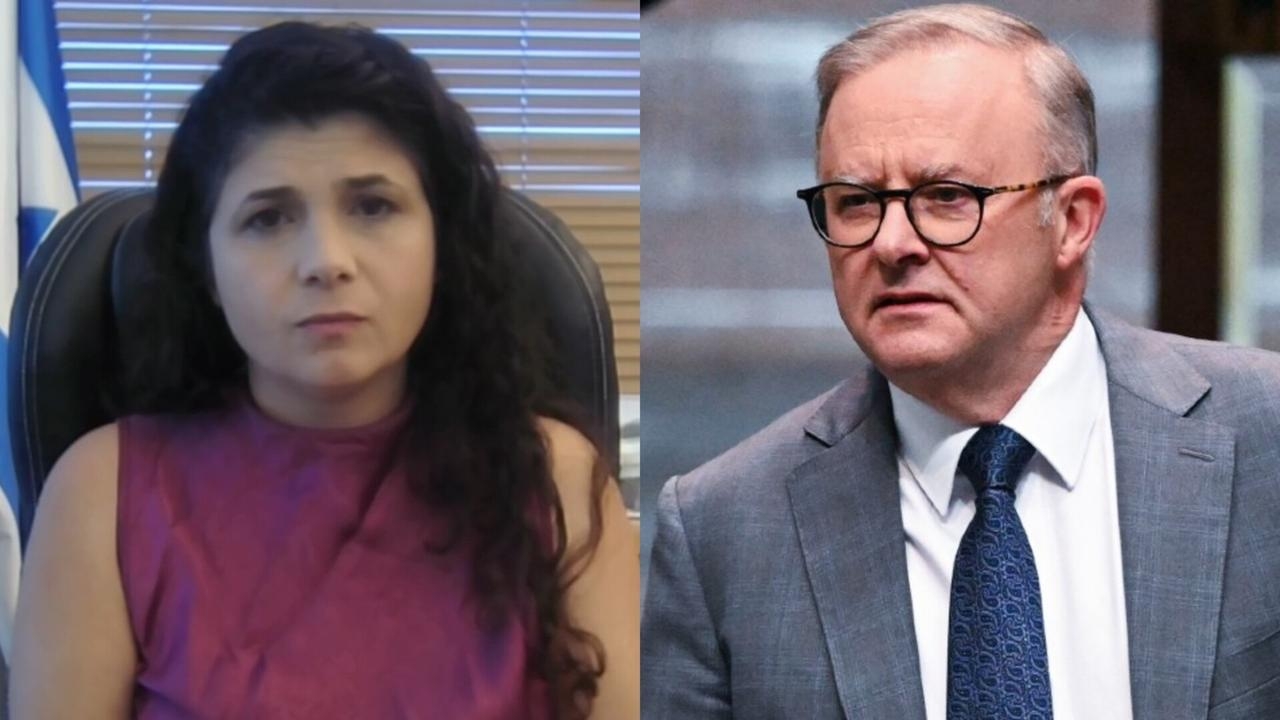 ‘Disappointing': Israeli MP reacts to Albanese's comments about Gaza war