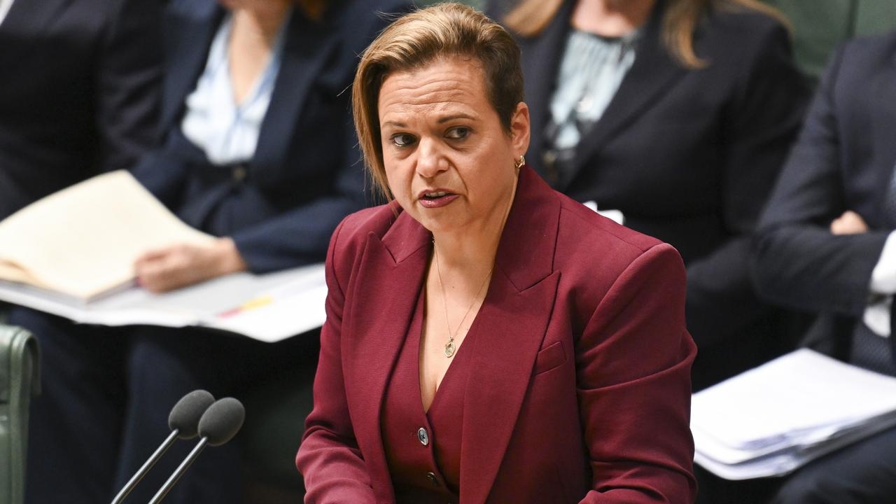 ‘Unsatisfactory': Fury amid revelations working with children check reforms could take up to a year