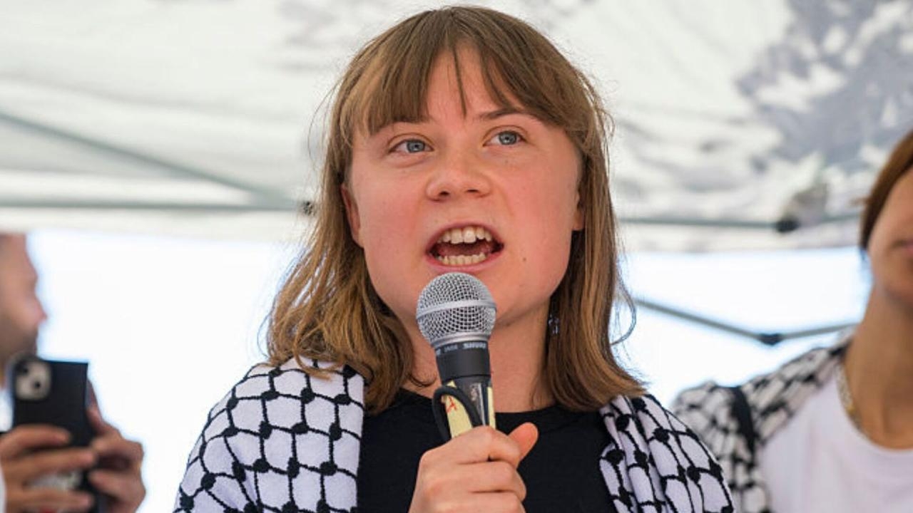 ‘Act accordingly': Israel threatens Greta Thunberg's ship heading to Gaza